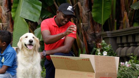 international professional pet movers service.